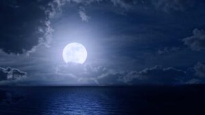 Yoga Nidra:<br/> The Ultimate Renewal