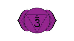 Chakra Six: The 3rd Eye